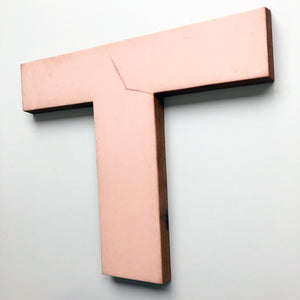 Large Letter Ply and Perspex