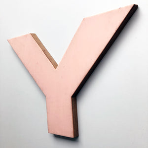 Large Letter Ply and Perspex